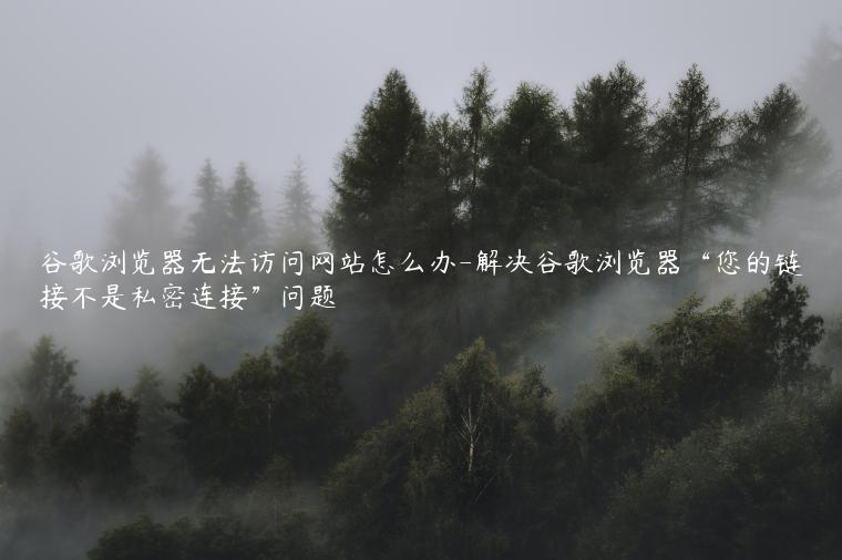 谷歌浏览器无法访问网站怎么办-解决谷歌浏览器“您的链接不是私密连接”问题