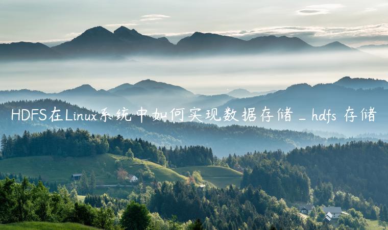 HDFS在Linux系统中如何实现数据存储_hdfs 存储