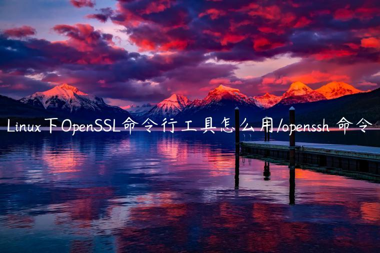 Linux下OpenSSL命令行工具怎么用/openssh 命令