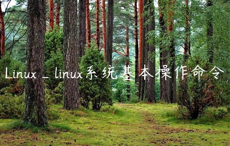 Linux_linux系统基本操作命令
