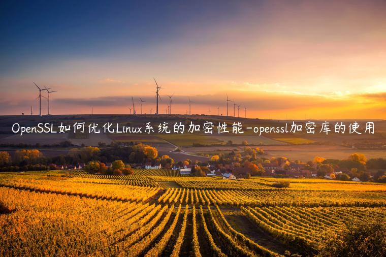 OpenSSL如何优化Linux系统的加密性能-openssl加密库的使用