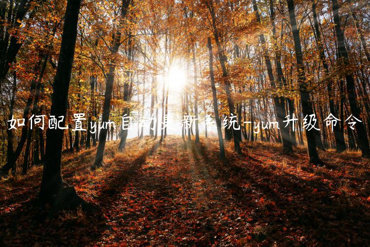 如何配置yum自动更新系统-yum升级命令