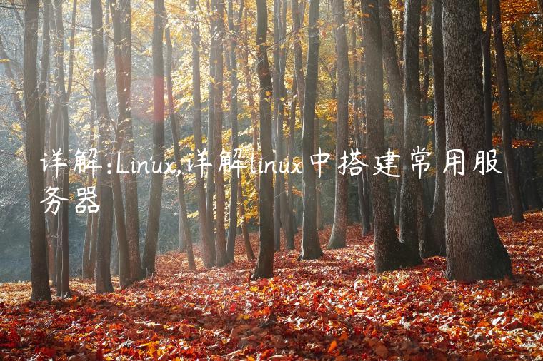 详解:Linux,详解linux中搭建常用服务器