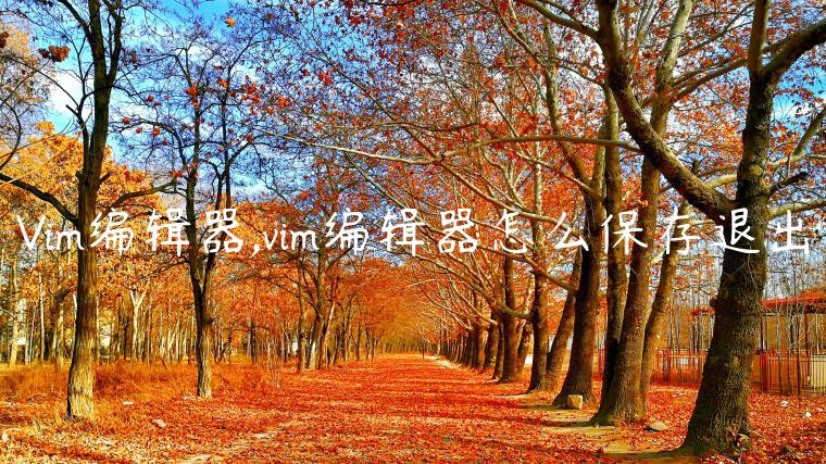 Vim编辑器,vim编辑器怎么保存退出