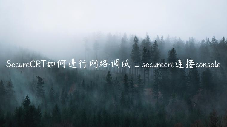 SecureCRT如何进行网络调试_securecrt连接console