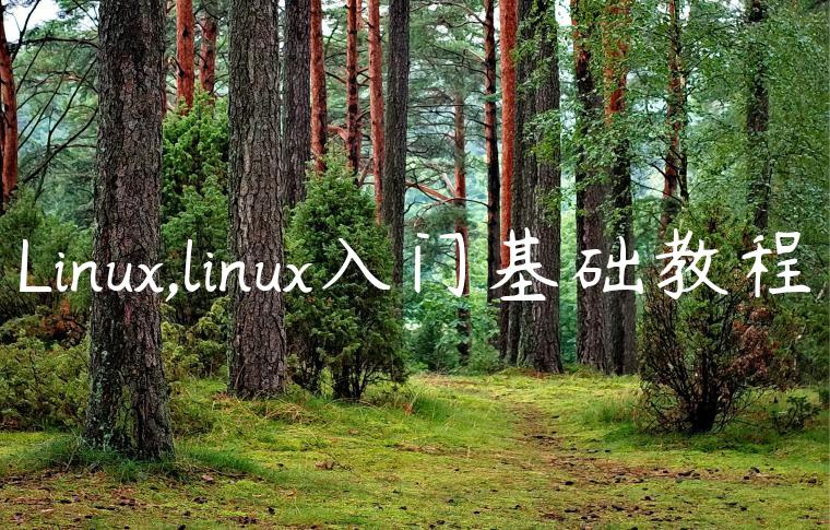 Linux,linux入门基础教程