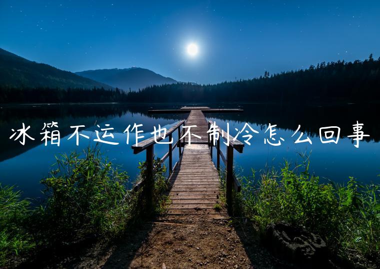 冰箱不运作也不制冷怎么回事