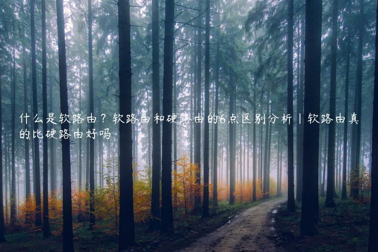 什么是软路由？软路由和硬路由的6点区别分析|软路由真的比硬路由好吗
