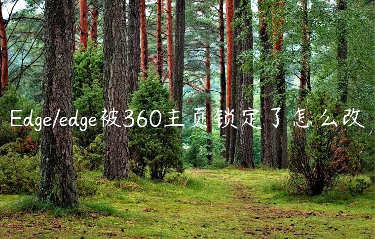 Edge/edge被360主页锁定了怎么改