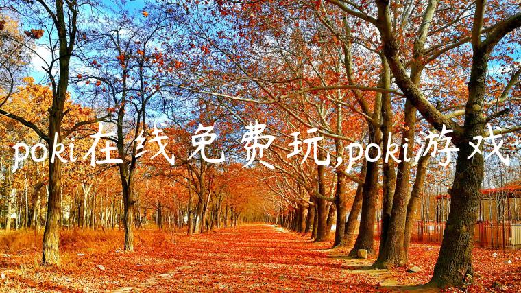 poki在线免费玩,poki游戏