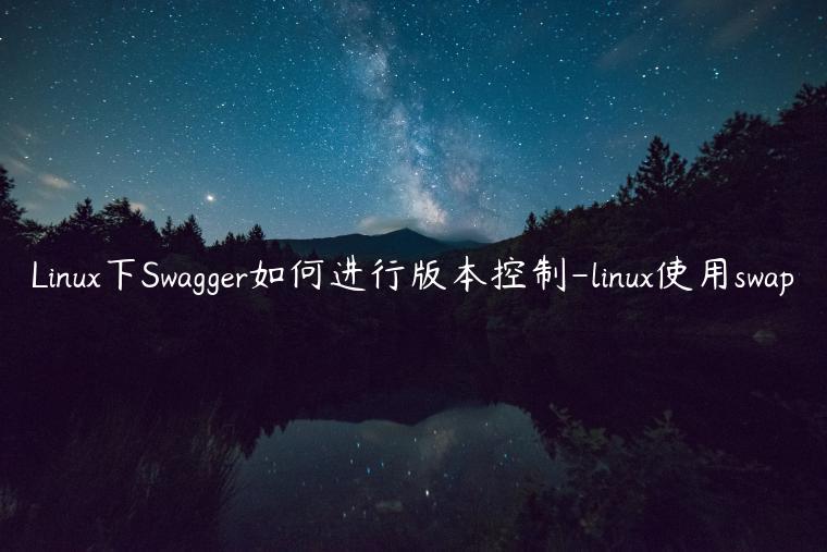 Linux下Swagger如何进行版本控制-linux使用swap