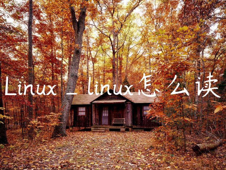 Linux_linux怎么读