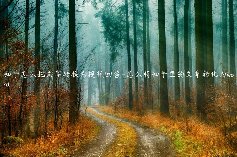 知乎怎么把文字转换为视频回答-怎么将知乎里的文章转化为word