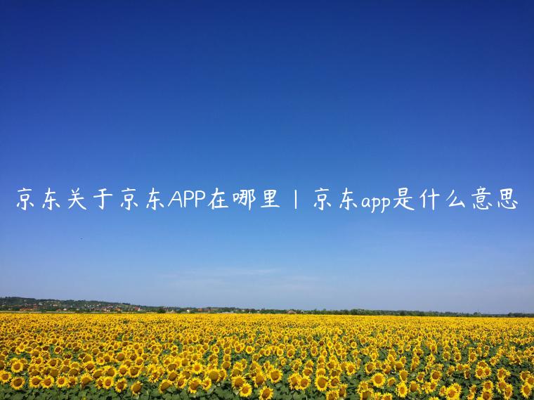 京东关于京东APP在哪里|京东app是什么意思