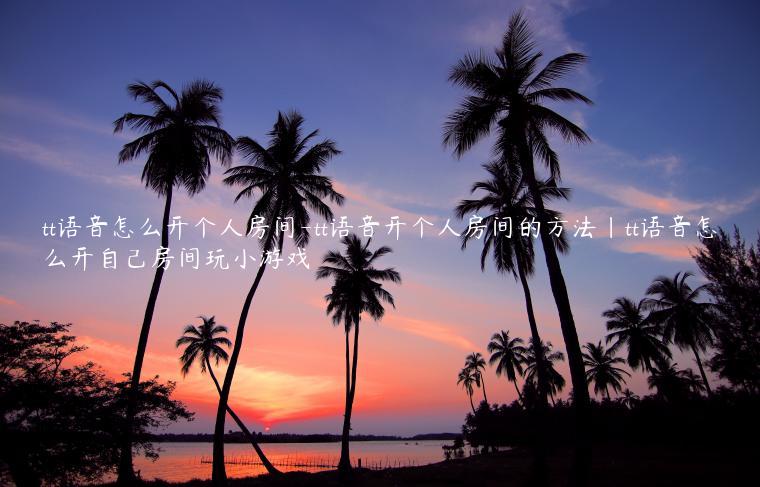 tt语音怎么开个人房间-tt语音开个人房间的方法|tt语音怎么开自己房间玩小游戏