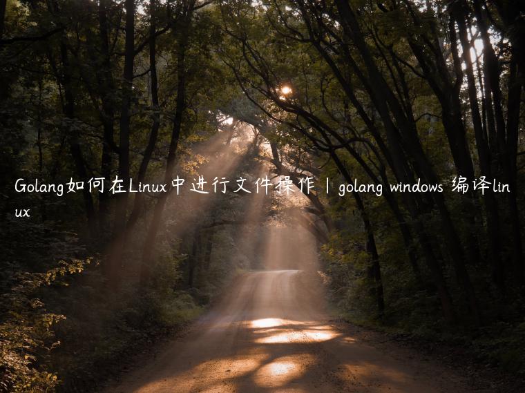 Golang如何在Linux中进行文件操作|golang windows 编译linux