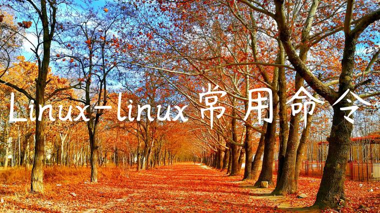 Linux-linux常用命令