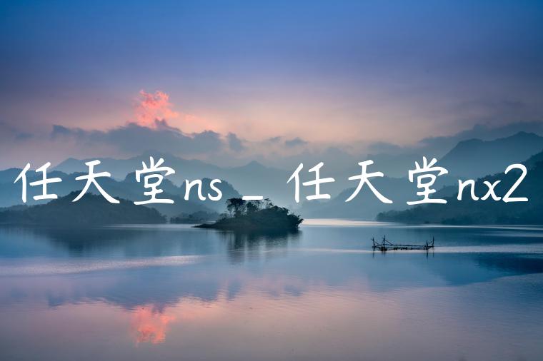 任天堂ns_任天堂nx2