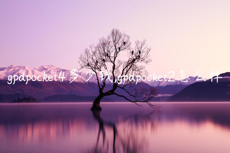 gpdpocket4多少钱,gpdpocket2怎么样