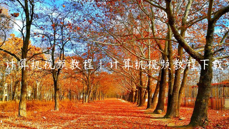 计算机视频教程|计算机视频教程下载