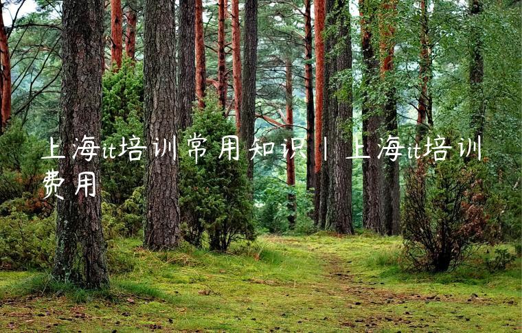 上海it培训常用知识|上海it培训费用
