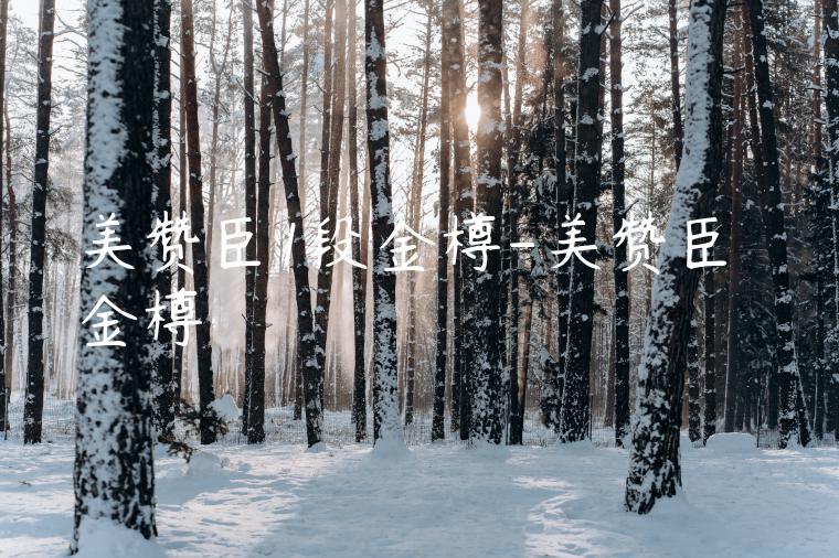 美赞臣1段金樽-美赞臣 金樽