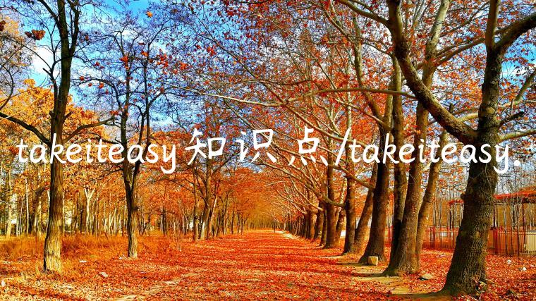 takeiteasy知识点/takeiteasy.