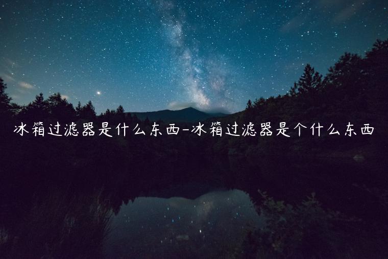 冰箱过滤器是什么东西-冰箱过滤器是个什么东西
