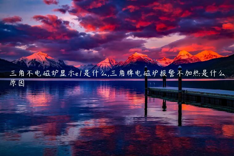 三角不电磁妒显示e1是什么,三角牌电磁炉报警不加热是什么原因