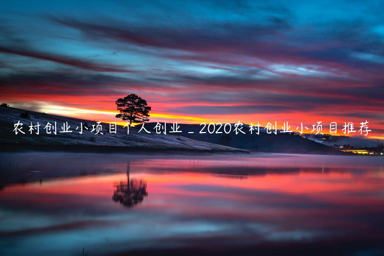 农村创业小项目个人创业_2020农村创业小项目推荐
