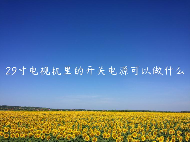 29寸电视机里的开关电源可以做什么