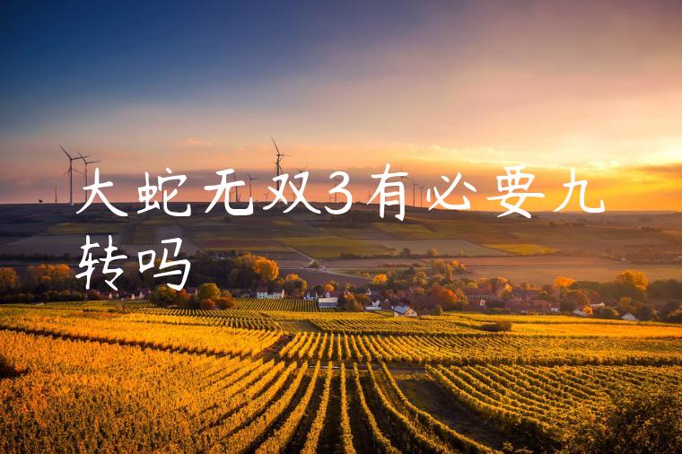 大蛇无双3有必要九转吗