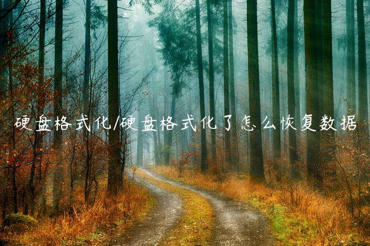 硬盘格式化/硬盘格式化了怎么恢复数据