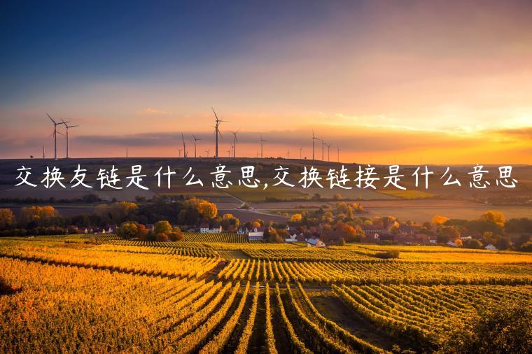 交换友链是什么意思,交换链接是什么意思
