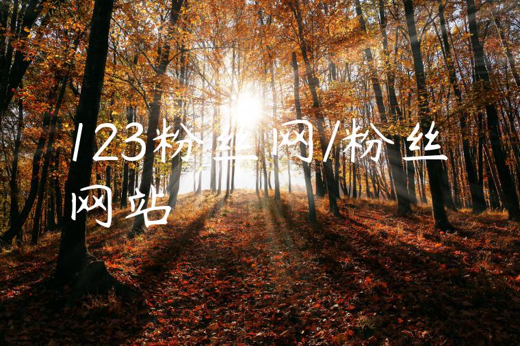 123粉丝网/粉丝网站