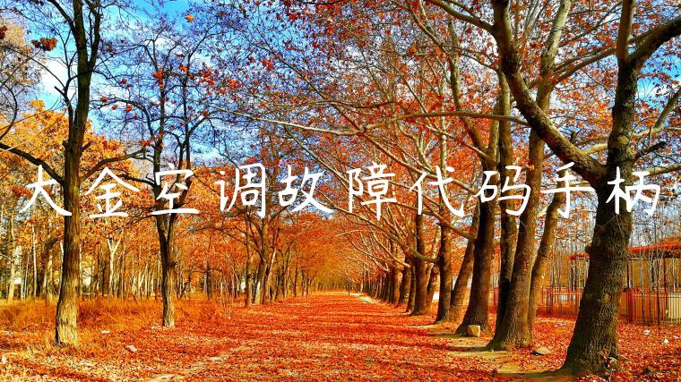 大金空调故障代码手柄