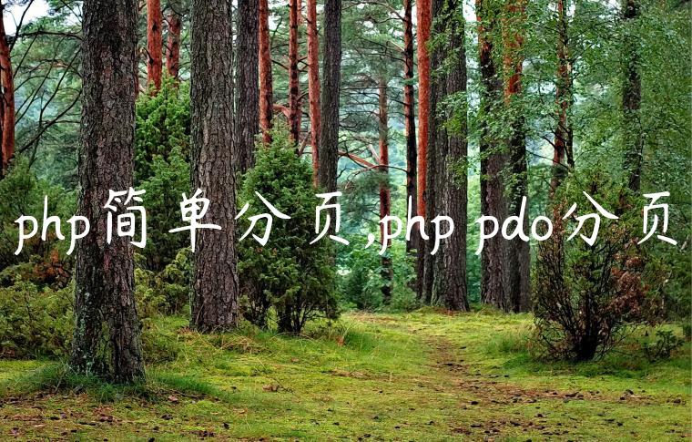 php简单分页,php pdo分页