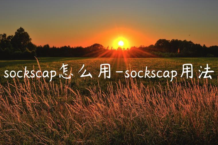 sockscap怎么用-sockscap用法
