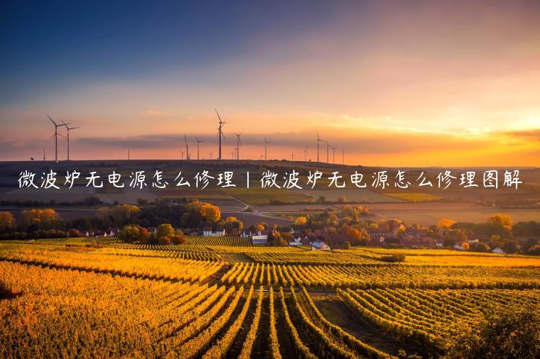 微波炉无电源怎么修理|微波炉无电源怎么修理图解