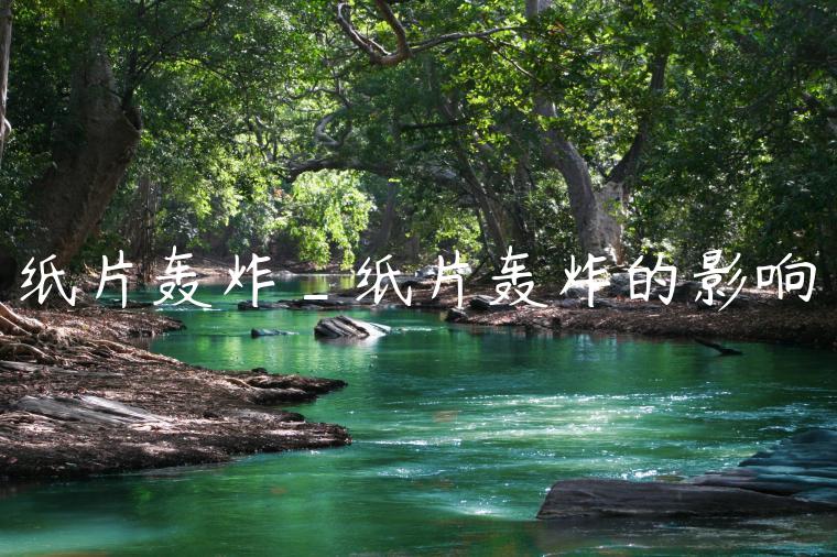 纸片轰炸_纸片轰炸的影响