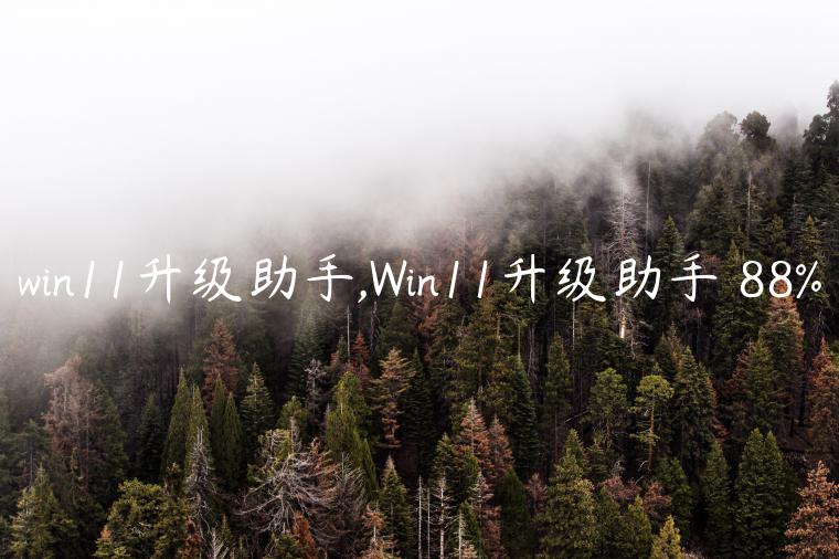 win11升级助手,Win11升级助手 88%