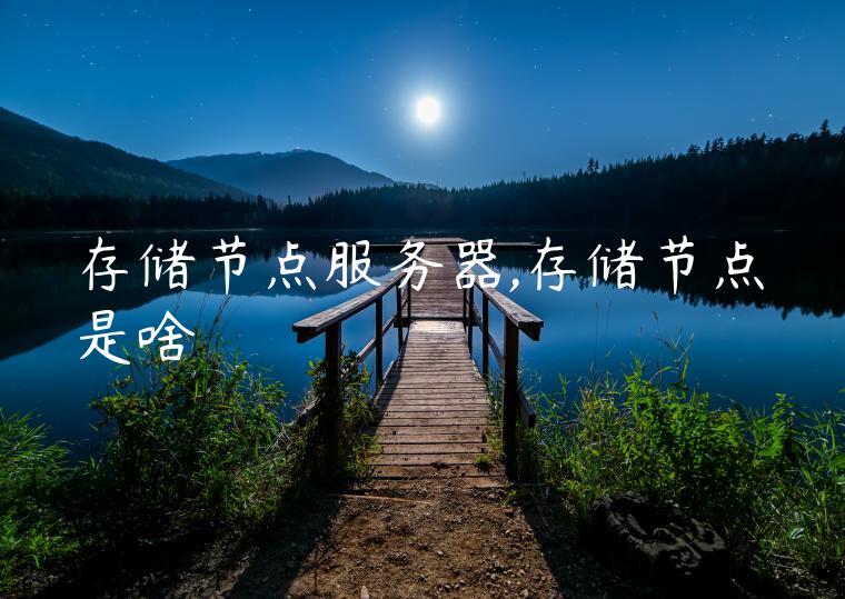 存储节点服务器,存储节点是啥
