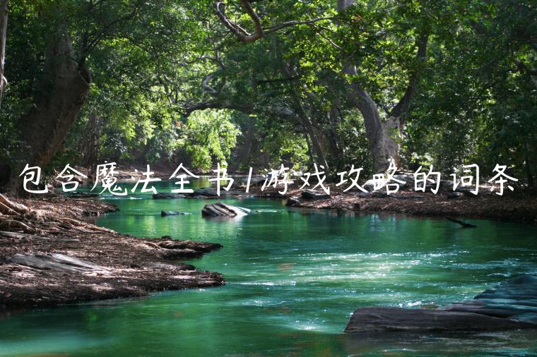 包含魔法全书1游戏攻略的词条