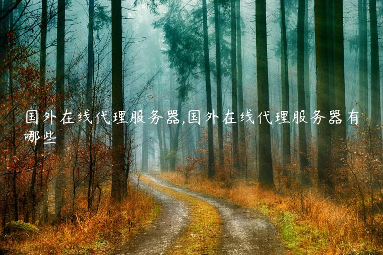 国外在线代理服务器,国外在线代理服务器有哪些
