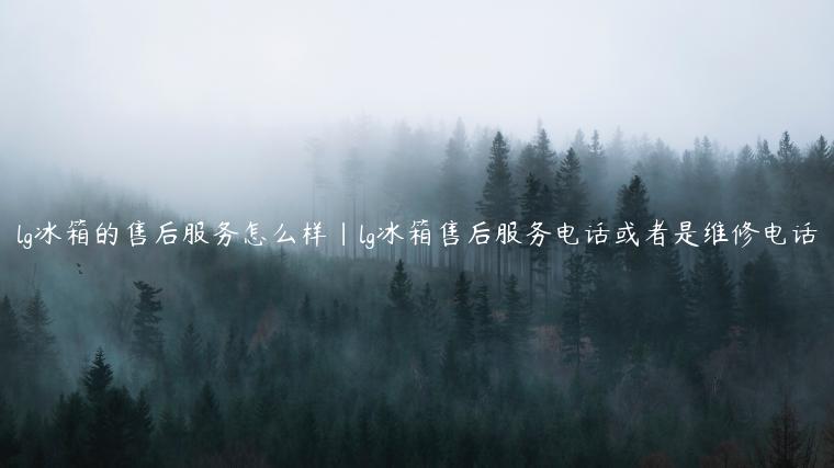 lg冰箱的售后服务怎么样|lg冰箱售后服务电话或者是维修电话