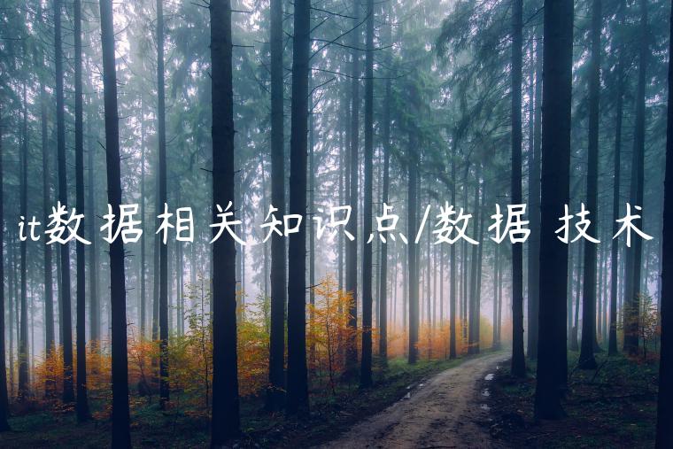 it数据相关知识点/数据 技术