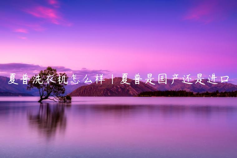 夏普洗衣机怎么样|夏普是国产还是进口