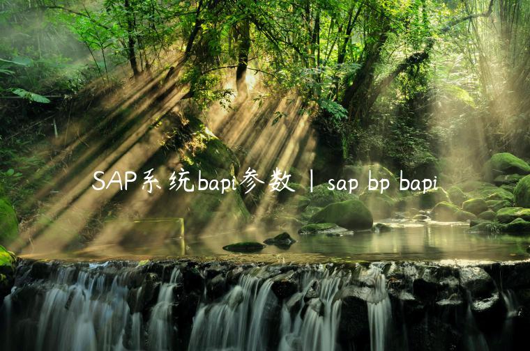 SAP系统bapi参数|sap bp bapi