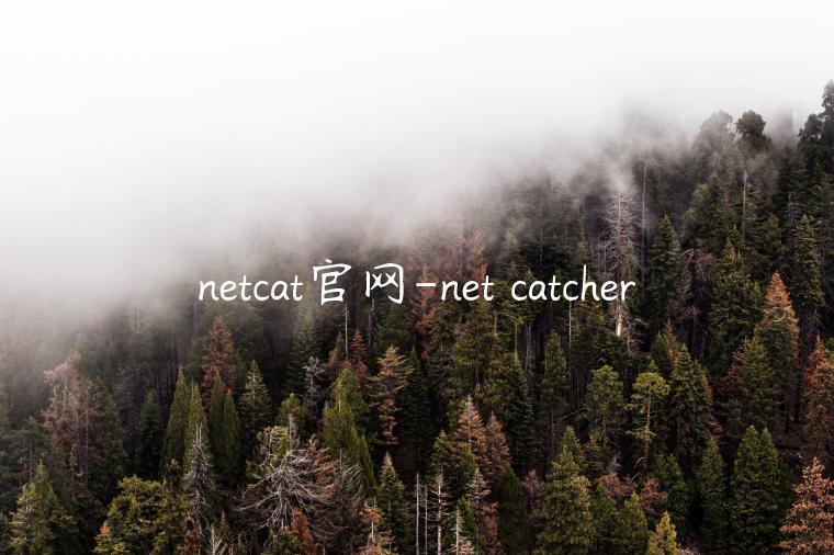 netcat官网-net catcher