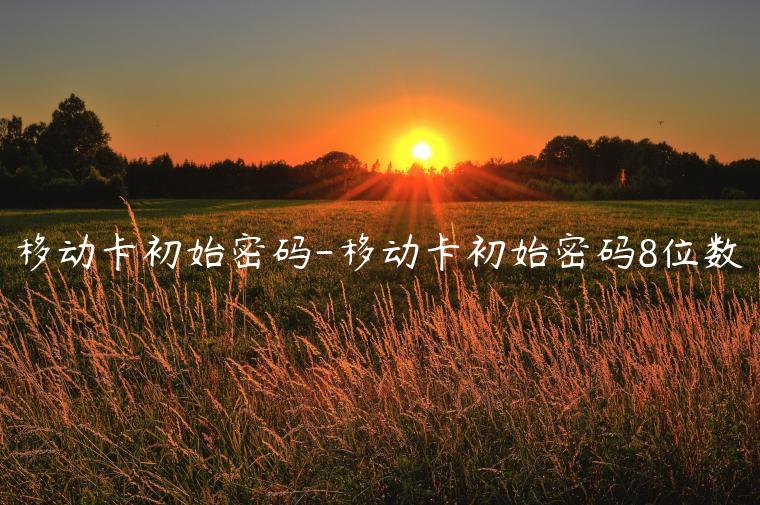移动卡初始密码-移动卡初始密码8位数